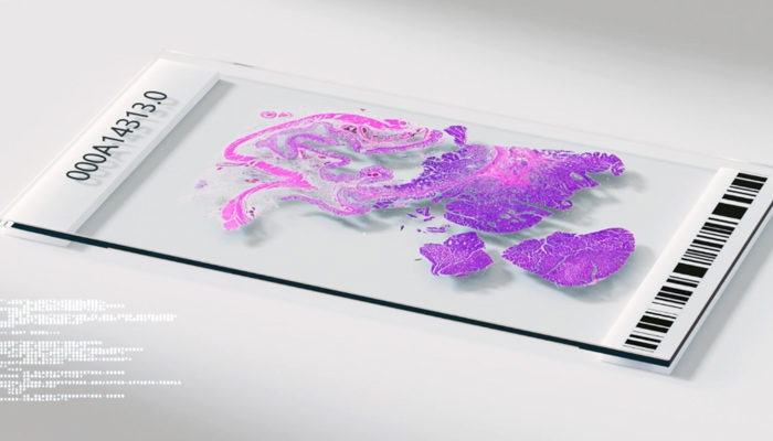Bioptimus AI pathology